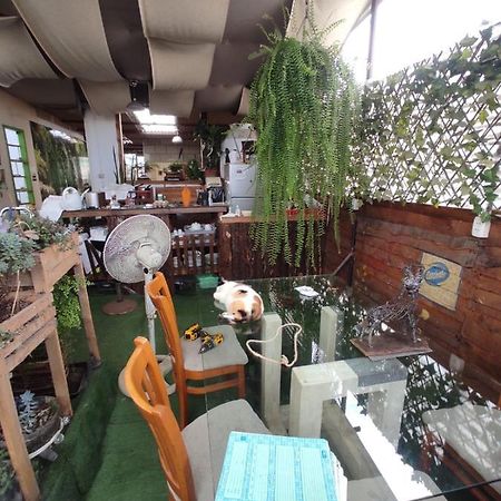 טרוחיו 717 Pizarro Guesthouse מראה חיצוני תמונה